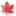 紅葉したモミジバフウの葉（＊゜▽゜）ノ02（白い背景付き）