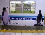 ペンギン電車